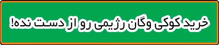 خرید کوکی وگان رژیمی رو از دست نده. 